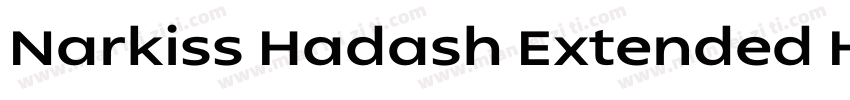 Narkiss Hadash Extended Heavy字体转换